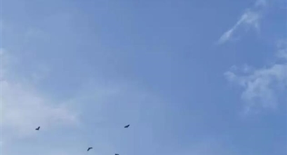 自然教育在儿童教育中的意义