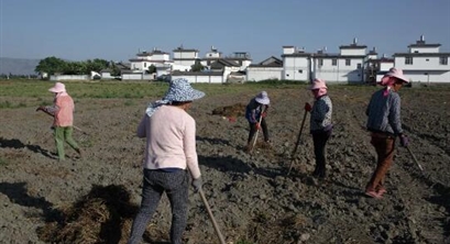 陈能场：土壤增碳助力缓解气候变化