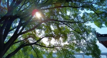 案例推荐|乡村振兴四个成功模式