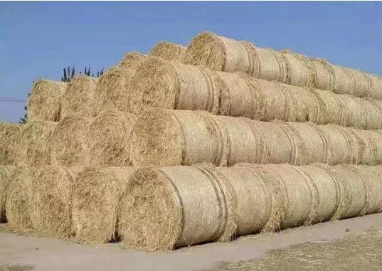 绿色循环普惠专委会官方2