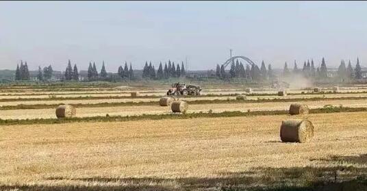 绿色循环普惠专委会官方1