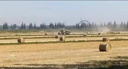 循环经济碳中和先锋——生物质