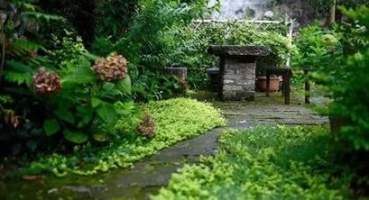 意景观点|乡村能不能振兴归根结底取决于人的因素