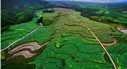 经验分享 | 福建省推进农村产业融合发展示范园创建经验总结