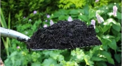 李季等:从乡间堆肥入手重建循环经济