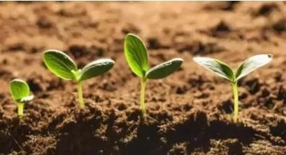 划重点！这三项举措助力“十四五”土壤防治工作