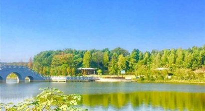 专家之声 | 高军等:推进碳达峰碳中和过程中资金问题怎么解?财政和金融政策协同发力