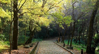 欧美生态产品价值实现机制及启示