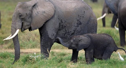浙江省全面开启工业园区（工业集聚区）“污水零直排区”建设提升年