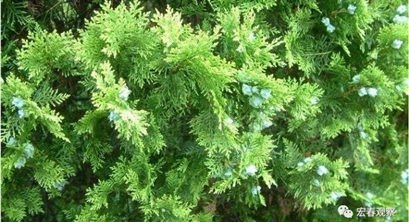 一图读懂 | 带你快速了解8个中央生态环保督察组进驻信息