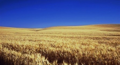 比尔盖茨大胆预测，又一灾难悄然来临，比新冠病毒还要可怕