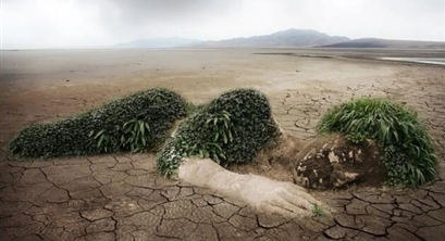 清洁能源新路径：牛屁回收