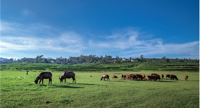 ​如何建立健全生态产品价值实现机制丨改革纵横