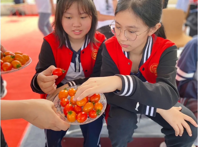 保护地球7 保护地球7