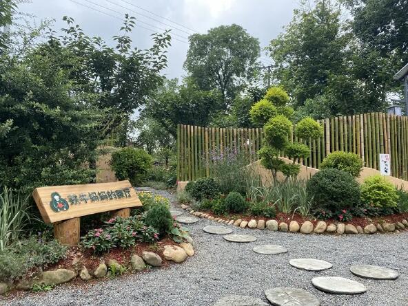 致敬建党5 致敬建党5