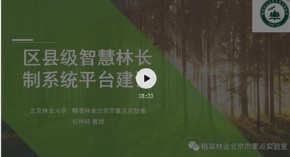 区县级智慧林长制系统平台建设