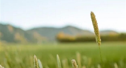 王凯军丨环保回忆录：“一级A”的由来 ​