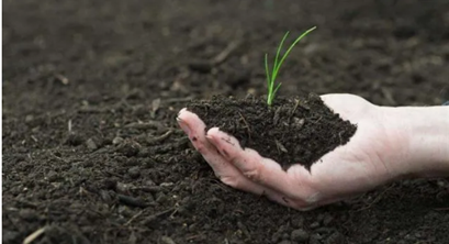 农业农村部回应有机肥推广难问题