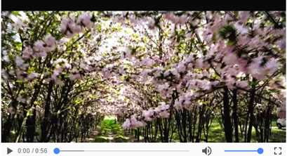 世界环境日：乡村如此才能生态宜居