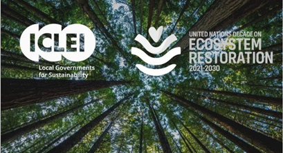 世界环境日 | 生态系统恢复和生物多样性之于城市的 10 项意义