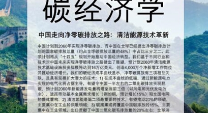 重磅报告|《碳经济学——中国走向净零碳排放之路：清洁能源技术革新》中文版