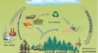 湖北发放首笔900万元森林碳汇质押贷款 以碳交易收益作为还款来源