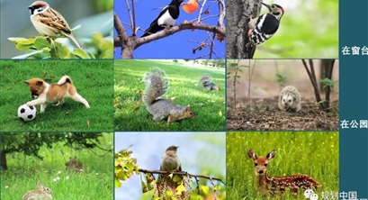 基于生物多样性保护的城市蓝绿空间规划设计