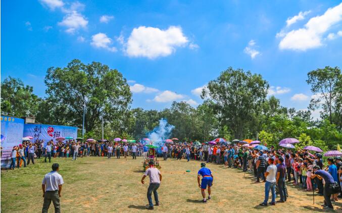 国家乡村2 国家乡村2