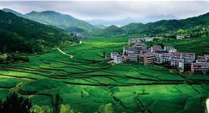 《中国农业绿色发展报告2020》发布:2020年,全国秸秆综合利用率达86.72%