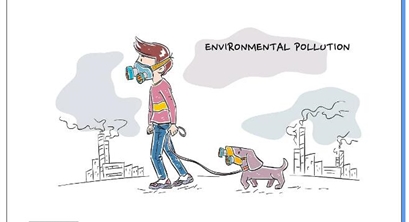 大气污染物排放权的省级分配方案