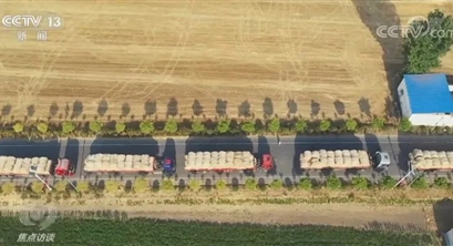 【央视聚焦】焦点访谈：生物质能开发利用助力高质量发展