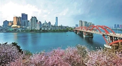 深入学习贯彻党的二十大精神奋力谱写中国式现代化广西生态新篇章