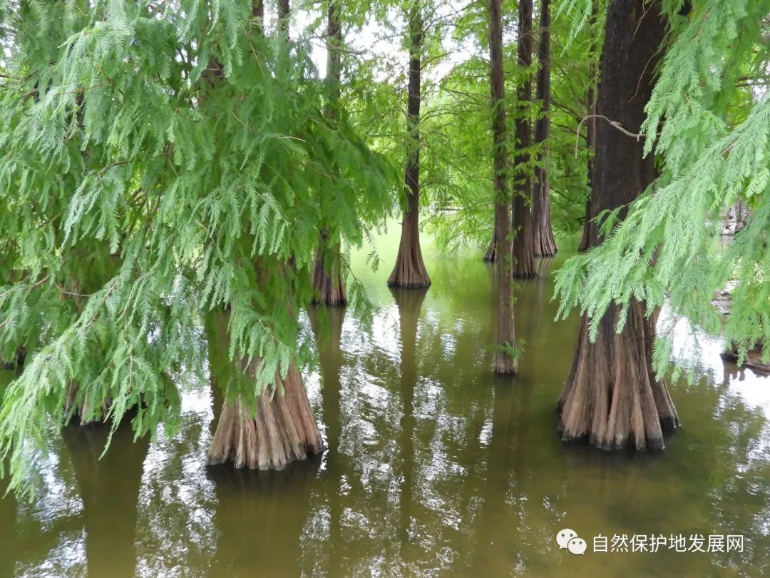 微信图片_20221128134655 微信图片_20221128134655