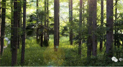 【专家视角】国土空间规划赋能生态产品价值实现的思考