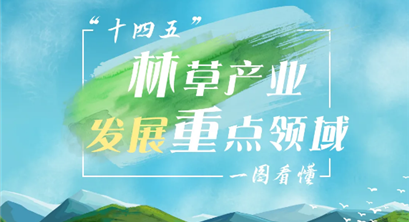 一图看懂｜“十四五”林草产业发展重点领域