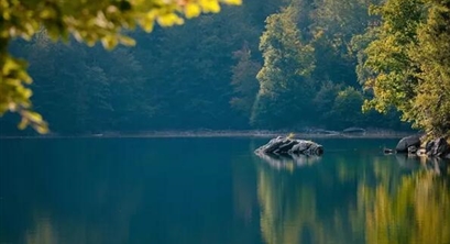 观点 | 山水林田湖草系统治理与高质量发展