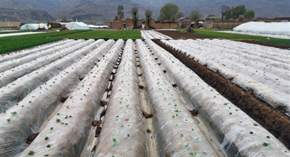 “十四五”农膜回收率将达85%，回收难题待破解