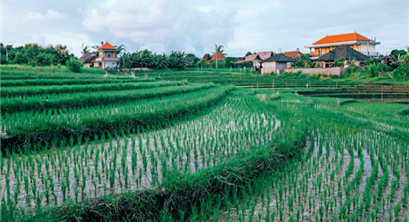 关注土壤修复 I 全国最大的农田治理项目费用高达每亩5.6万元