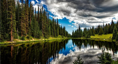 中国森林变迁史