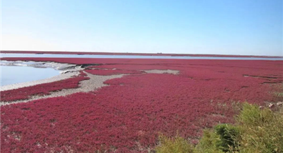 《海洋碳汇核算方法》行业标准HY/T 0349-2022实施正式实施