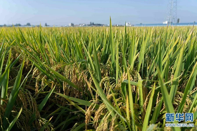 QQ截图20230109151651 QQ截图20230109151651