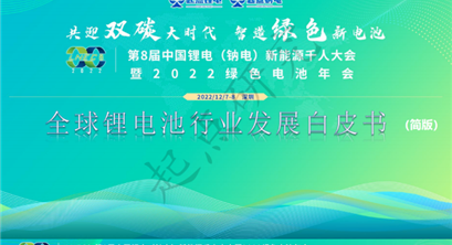 重磅！全球锂电池行业发展白皮书正式发布