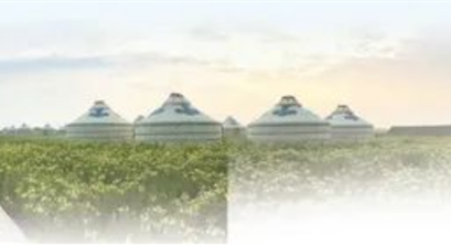 共建人与自然和谐共生的现代化（绿色焦点）