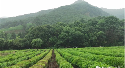 宁波海曙区完成首笔区域性林业碳汇交易
