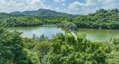建设人与自然和谐共生的绿色发展城市典范 树立新时代美丽中国雄安样板——《关于推动雄安新区建设绿色发展城市典范的意见》专家解读之四
