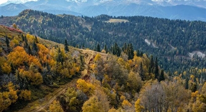 重磅！上海等地发布碳核查机构管理办法！详细解读怎样入局、从业要求、核查流程、机构名单