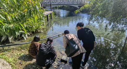 长江流域总磷排放现状如何？